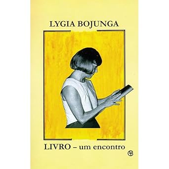 Livro: um encontro