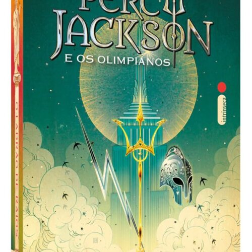 O ladrão de raios: Percy Jackson e os olimpianos livro 1