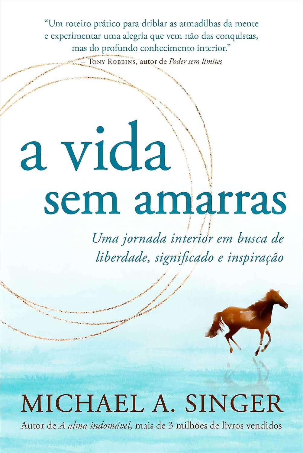 A vida sem amarras: uma jornada interior em busca de liberdade, significado e inspiração
